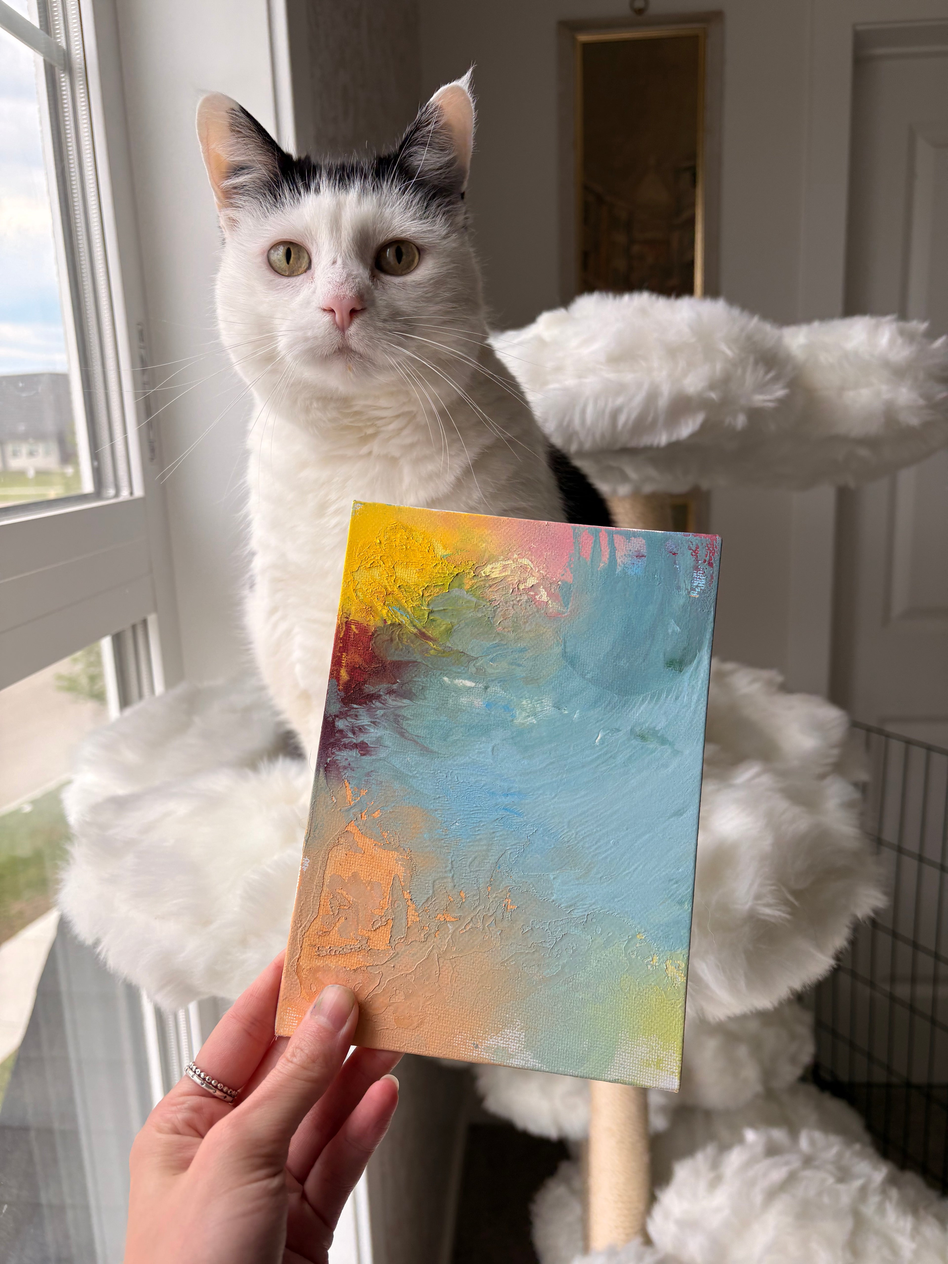 Poppy’s Paintings 🎨