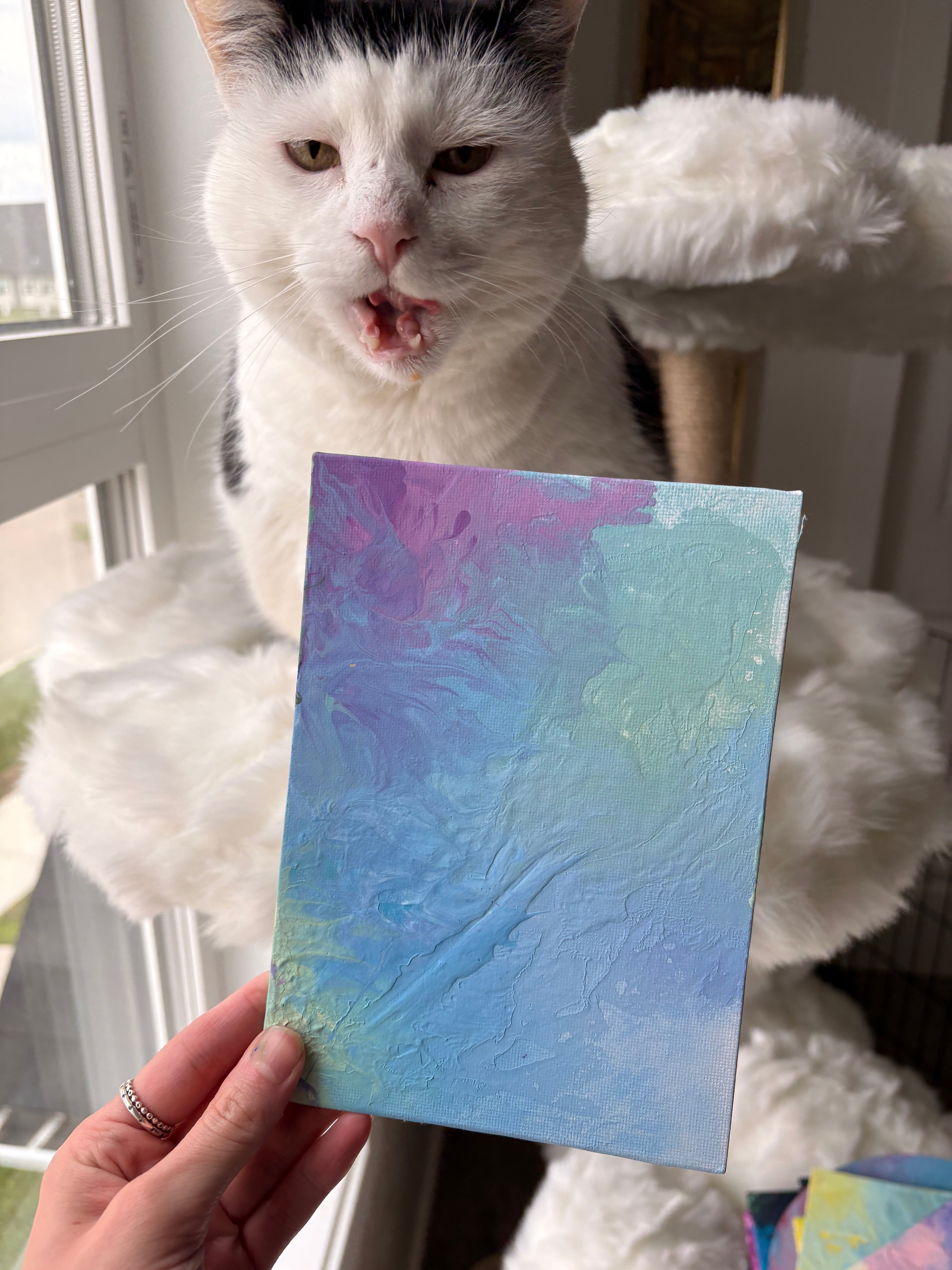 Poppy’s Paintings 🎨