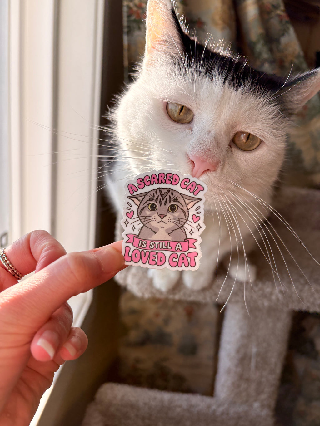 Roo Stickers