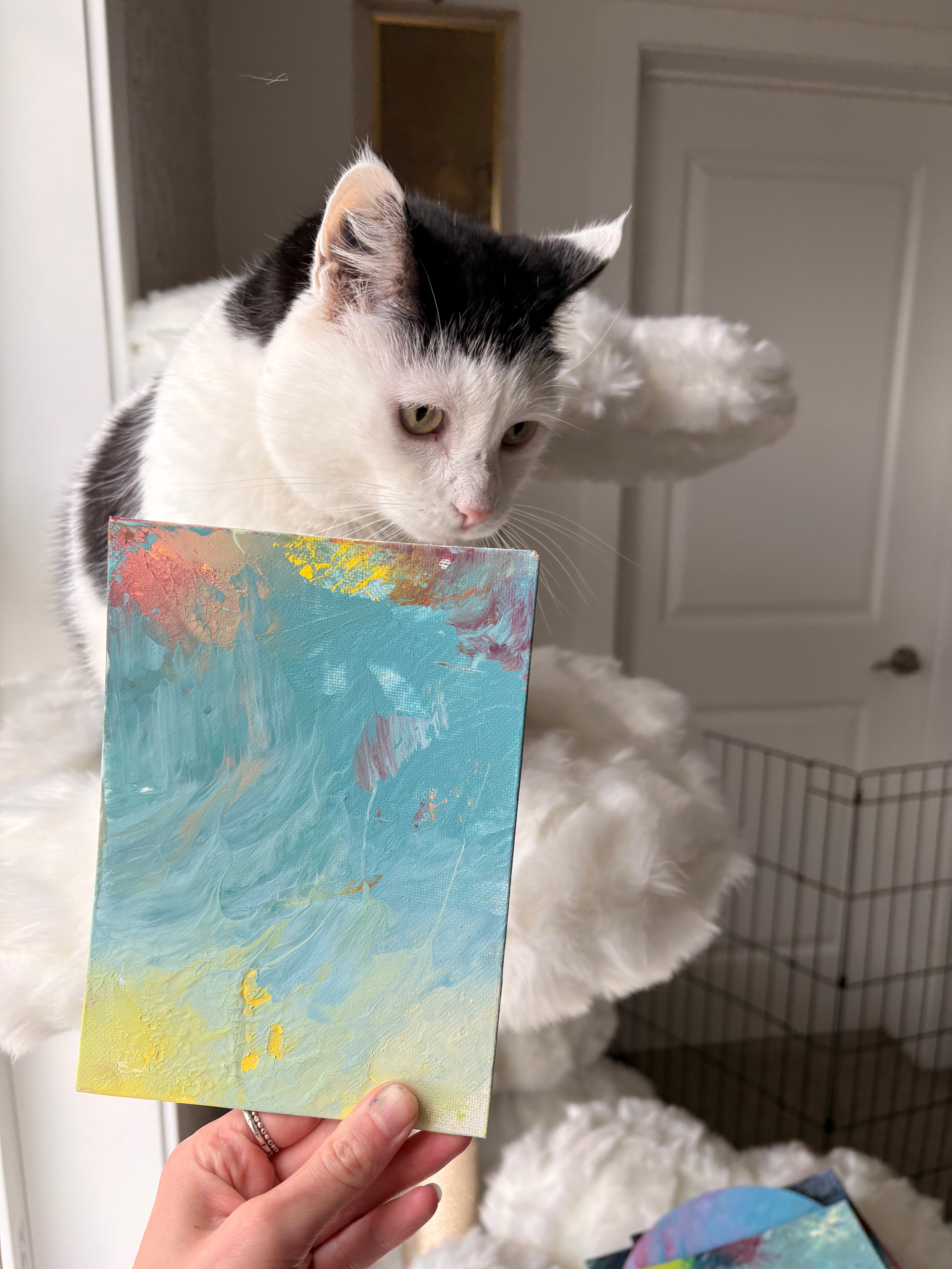 Poppy’s Paintings 🎨