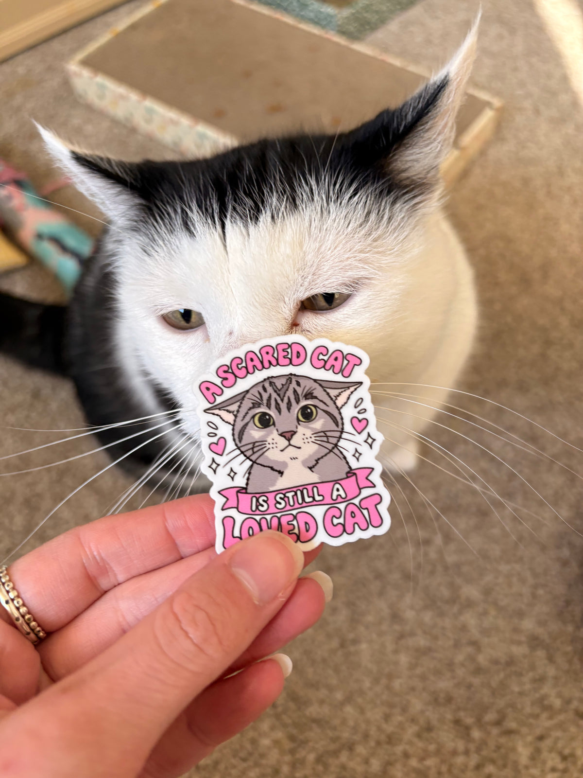 Roo Stickers