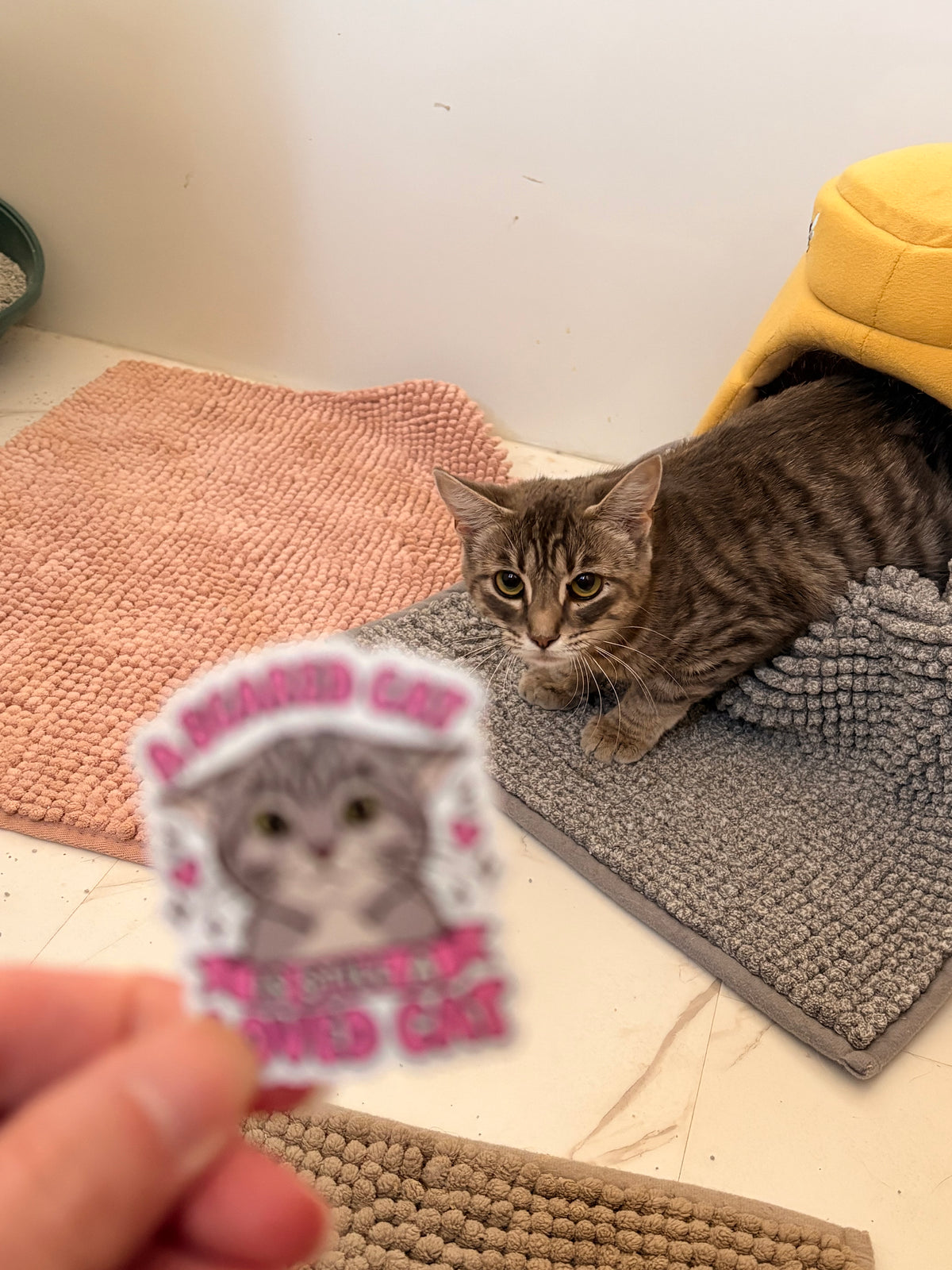 Roo Stickers