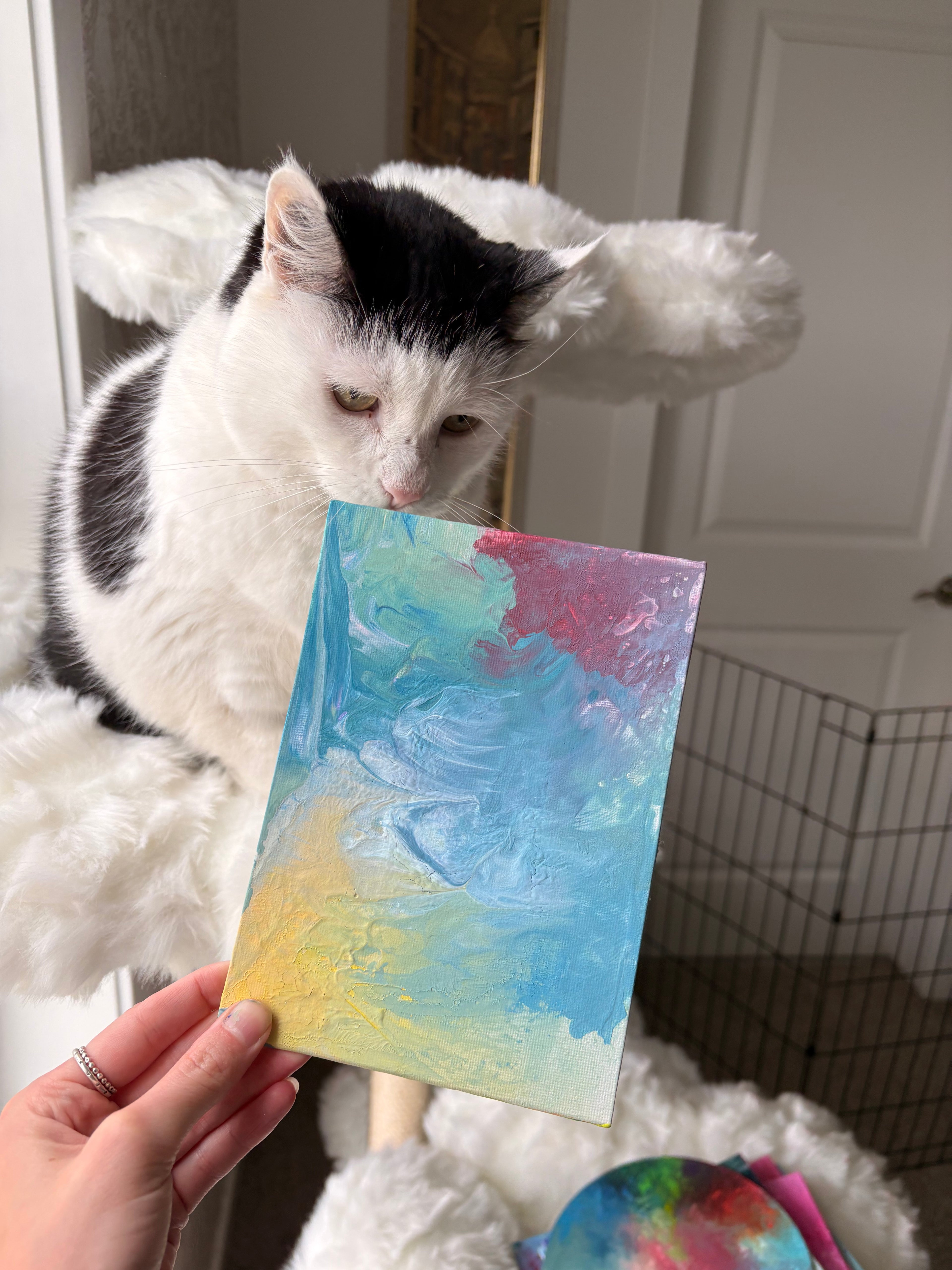 Poppy’s Paintings 🎨