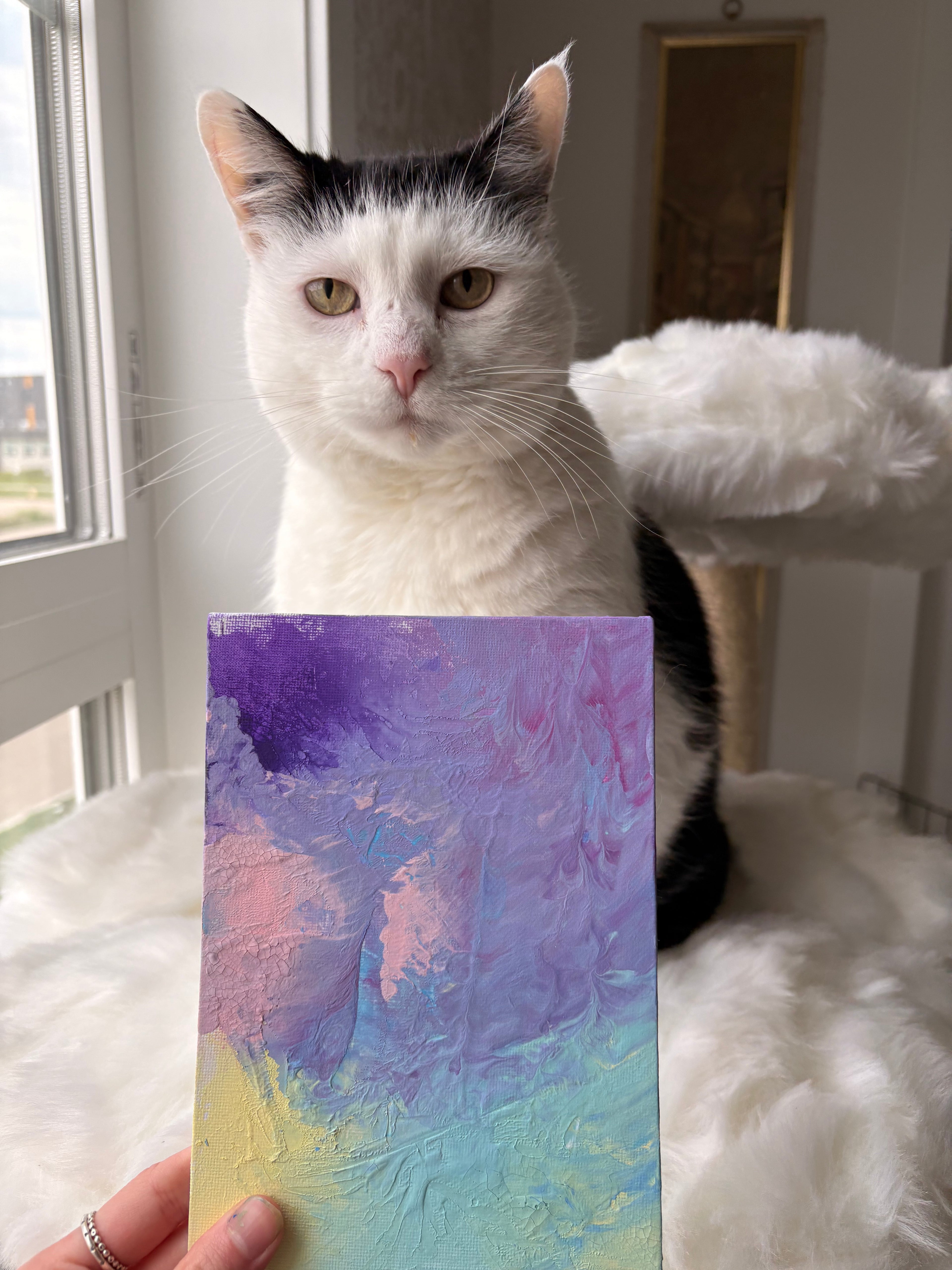Poppy’s Paintings 🎨