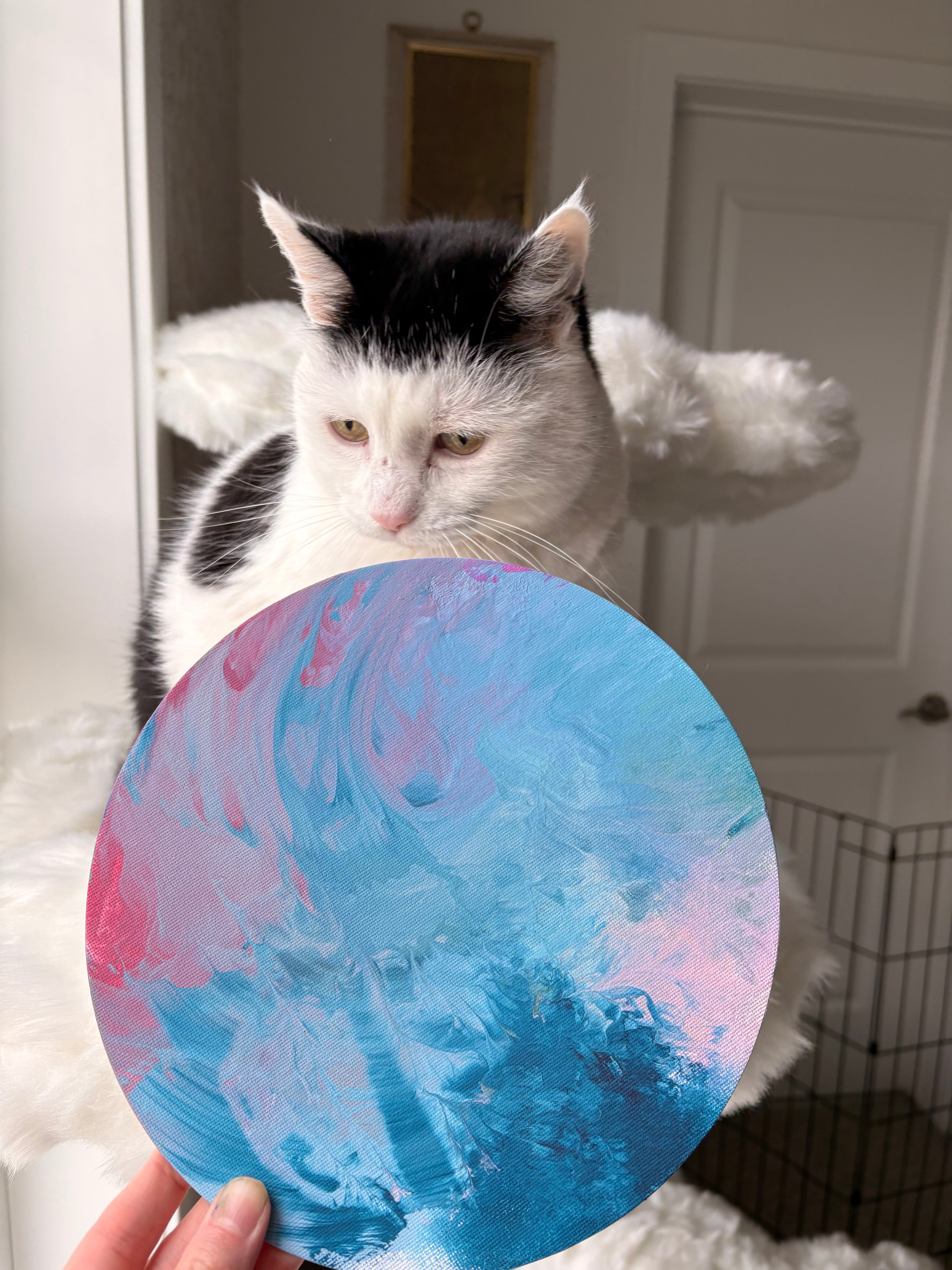 Poppy’s Paintings 🎨