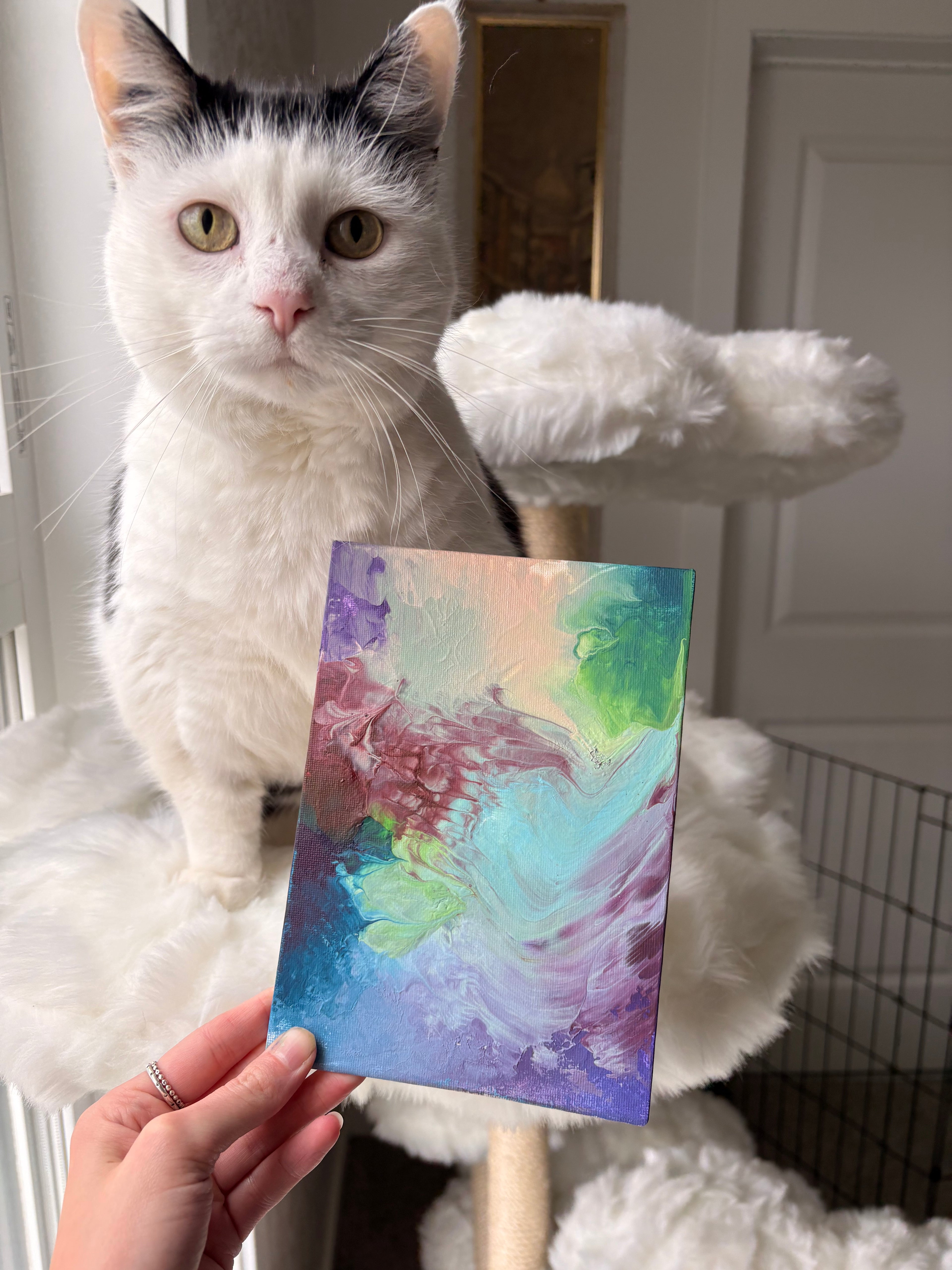Poppy’s Paintings 🎨