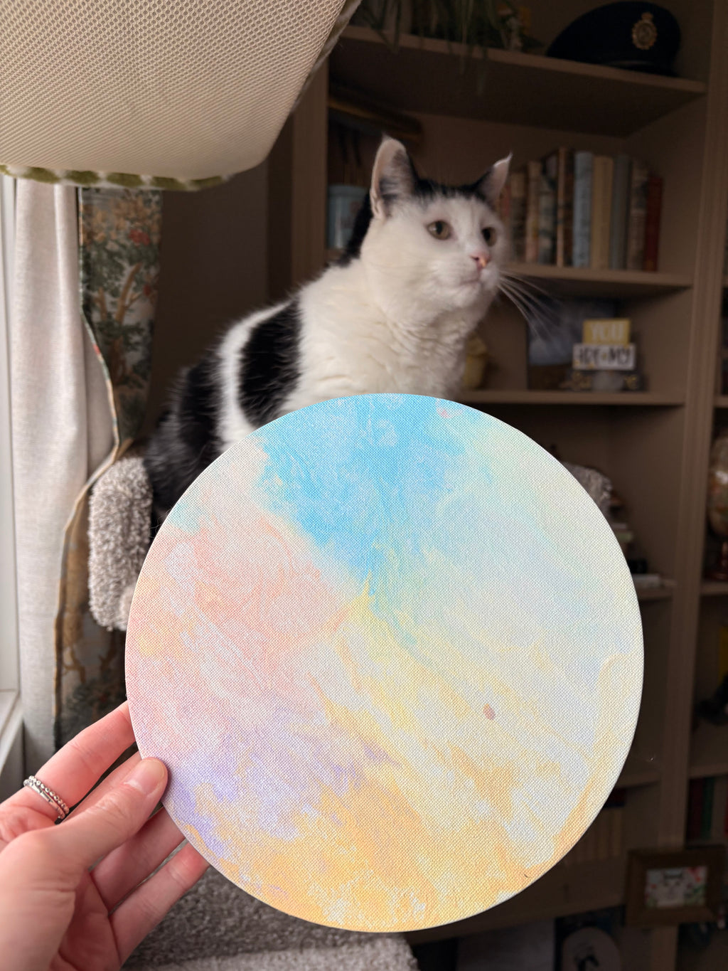 Poppy’s Paintings 🎨