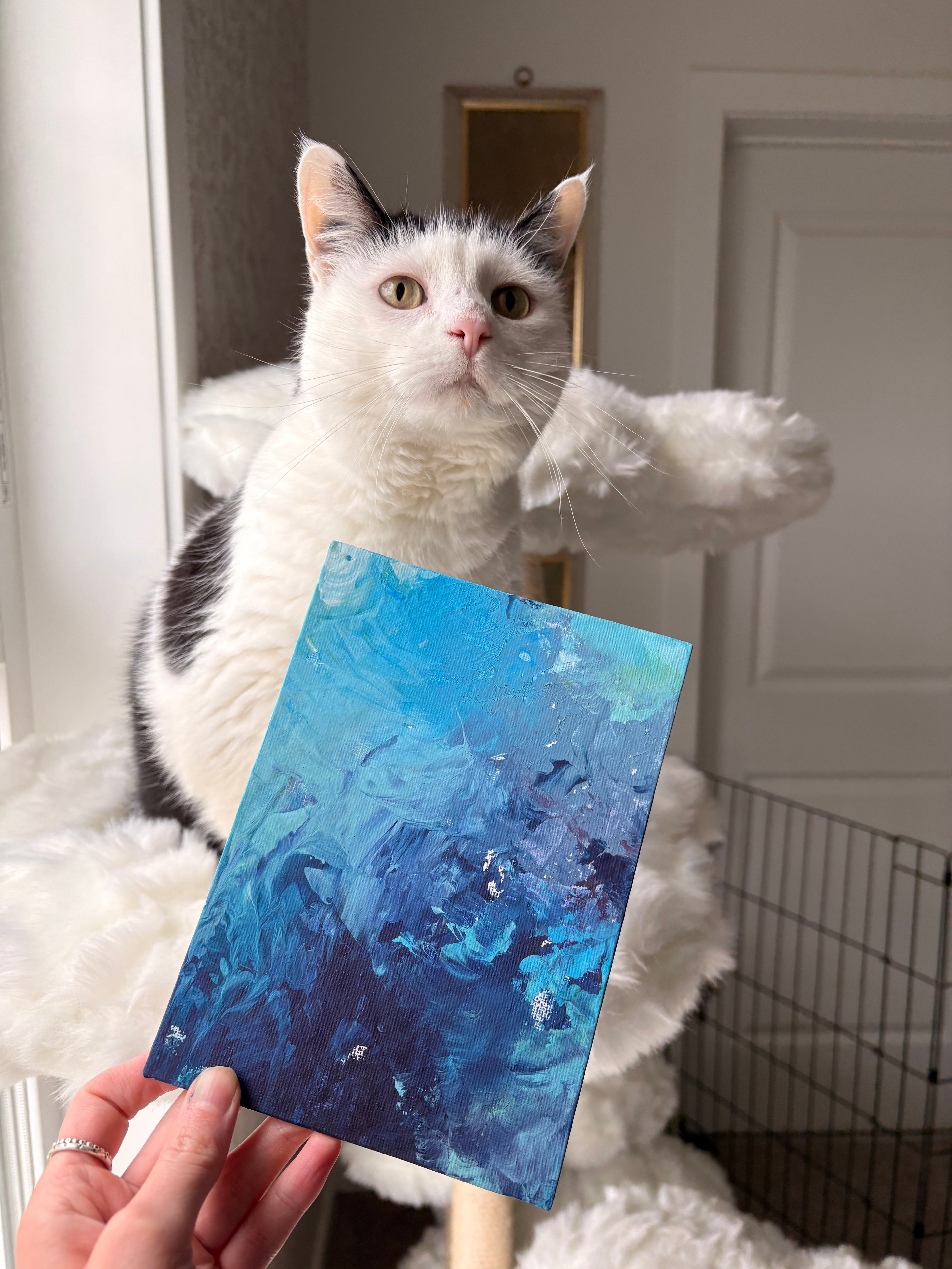 Poppy’s Paintings 🎨
