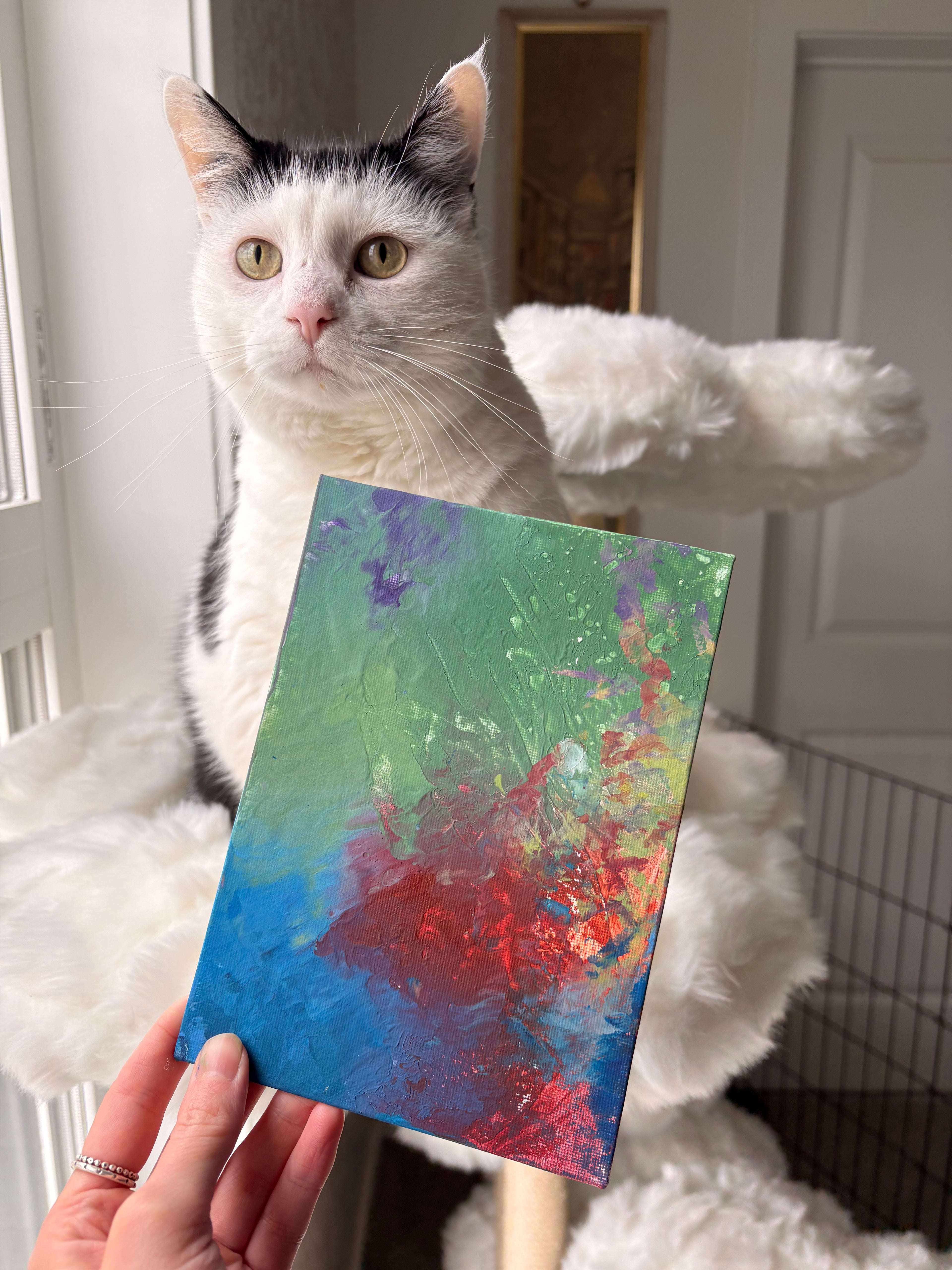 Poppy’s Paintings 🎨