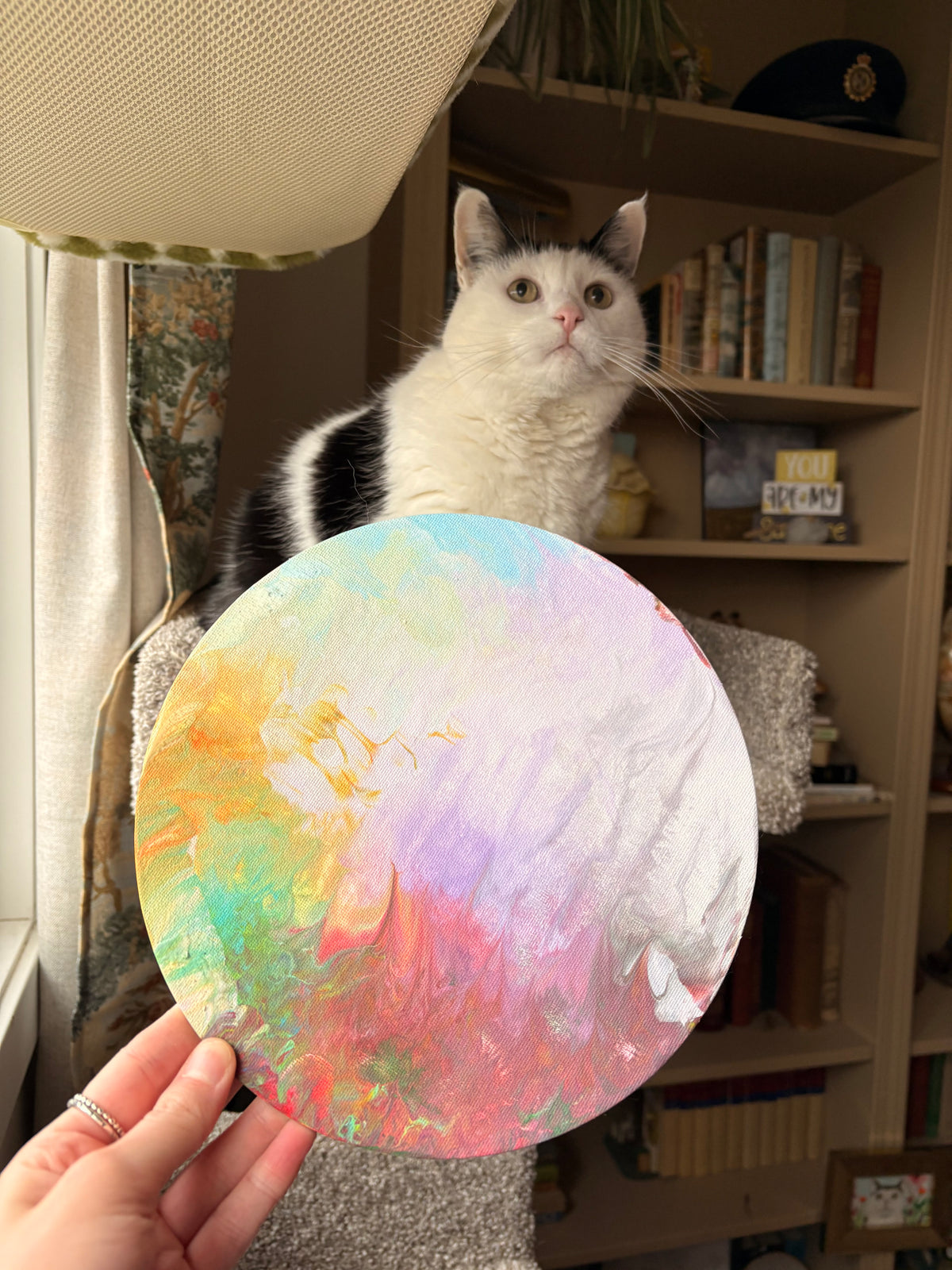 Poppy’s Paintings 🎨