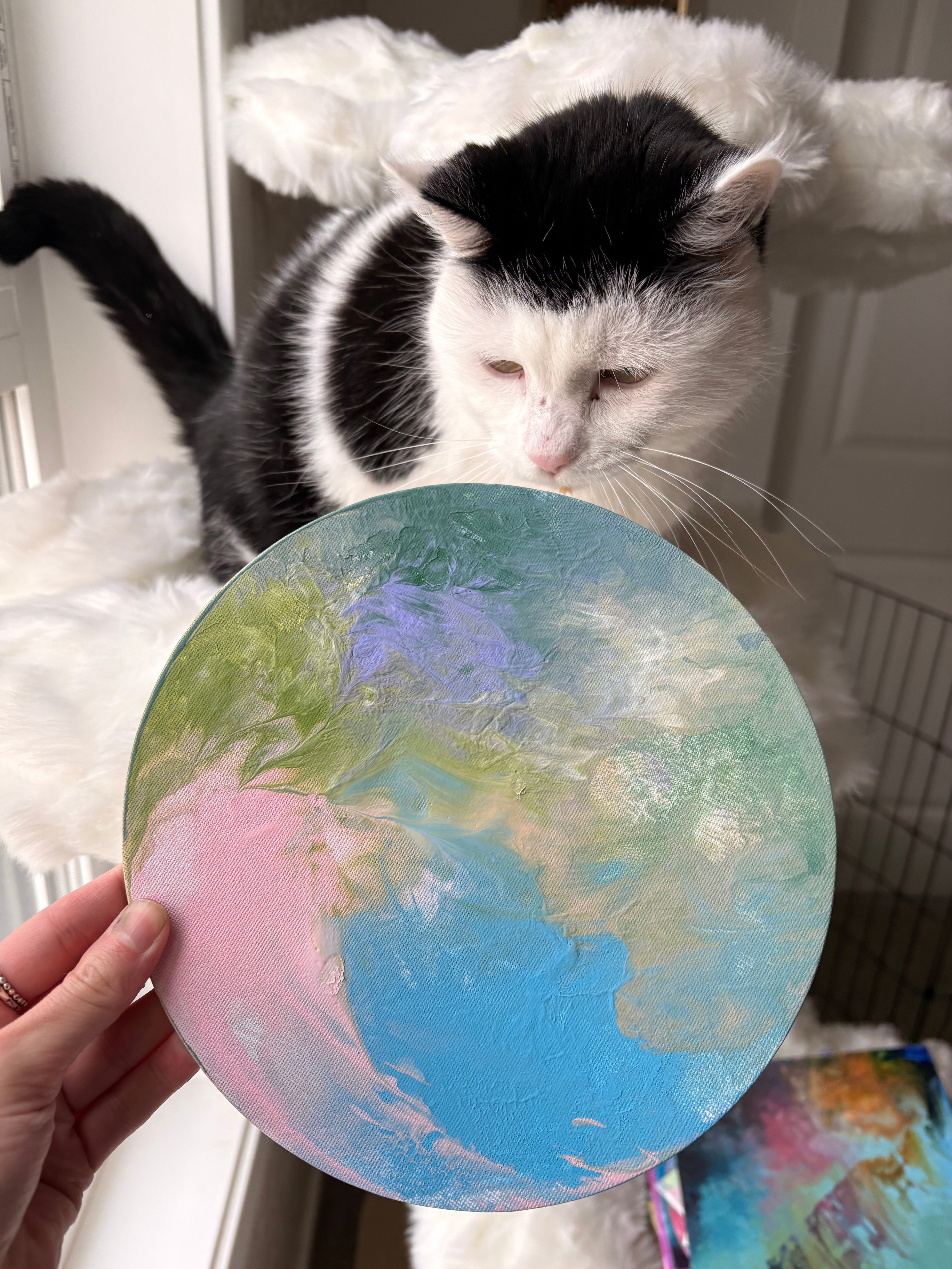 Poppy’s Paintings 🎨