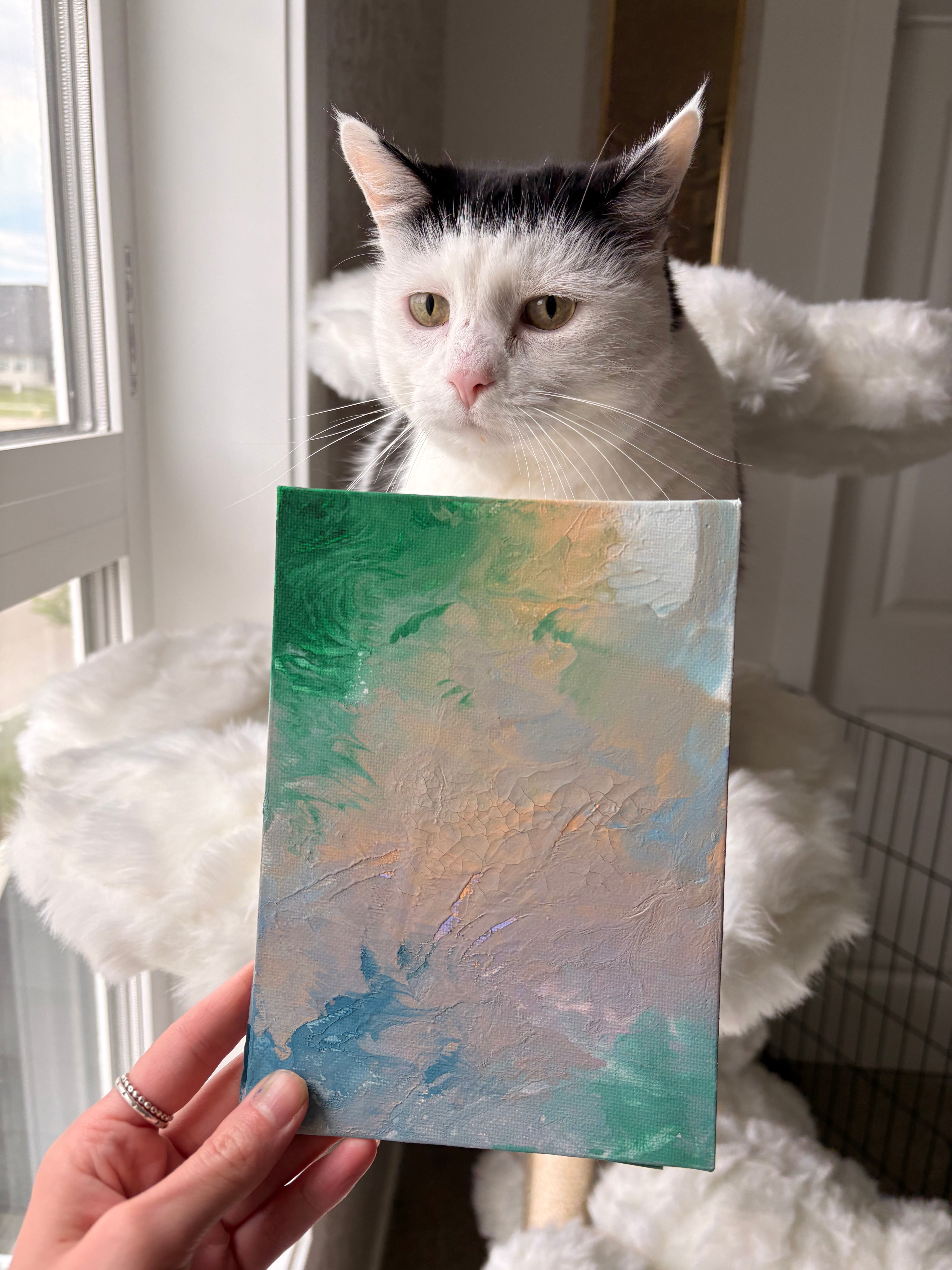 Poppy’s Paintings 🎨