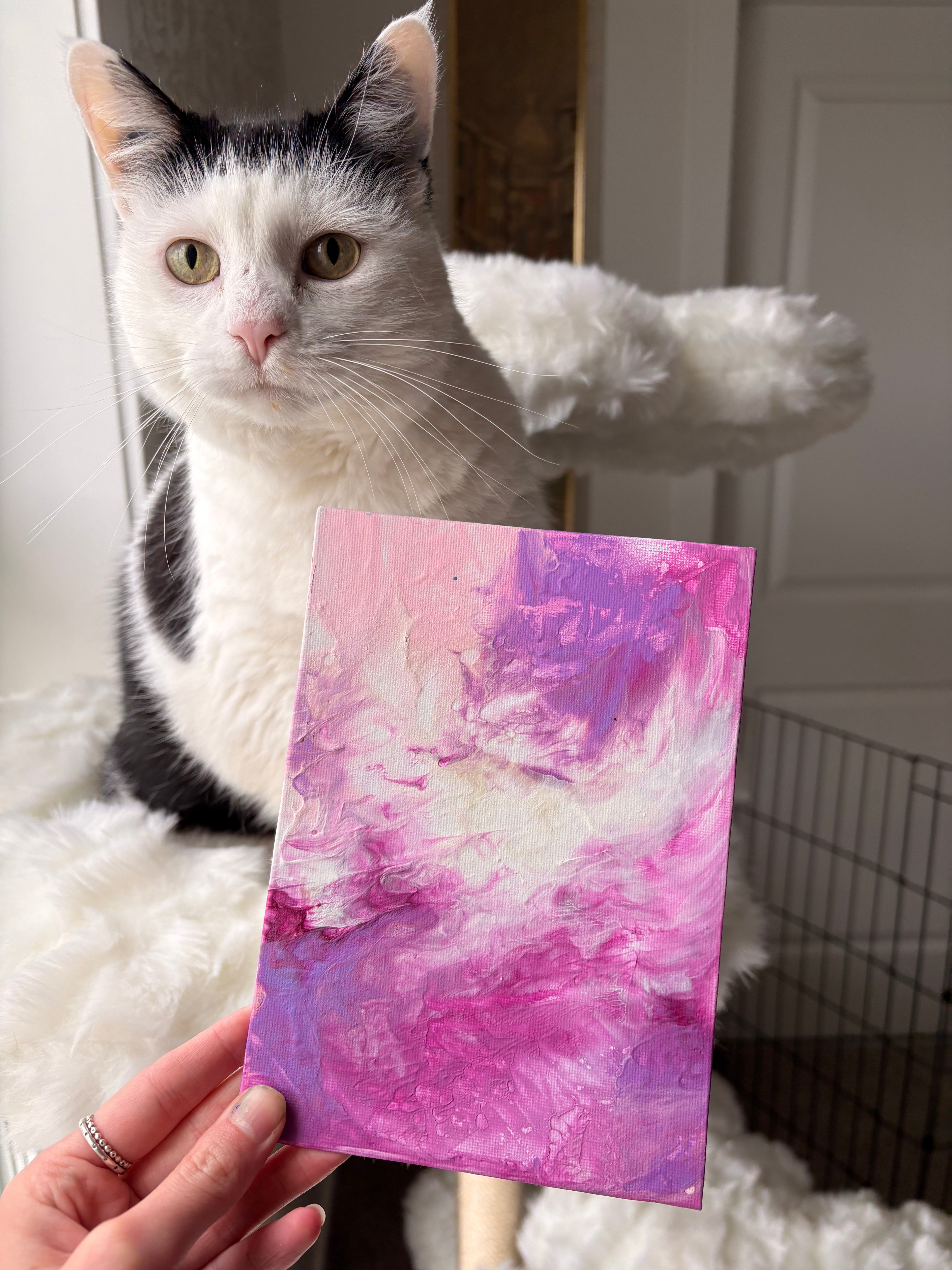 Poppy’s Paintings 🎨