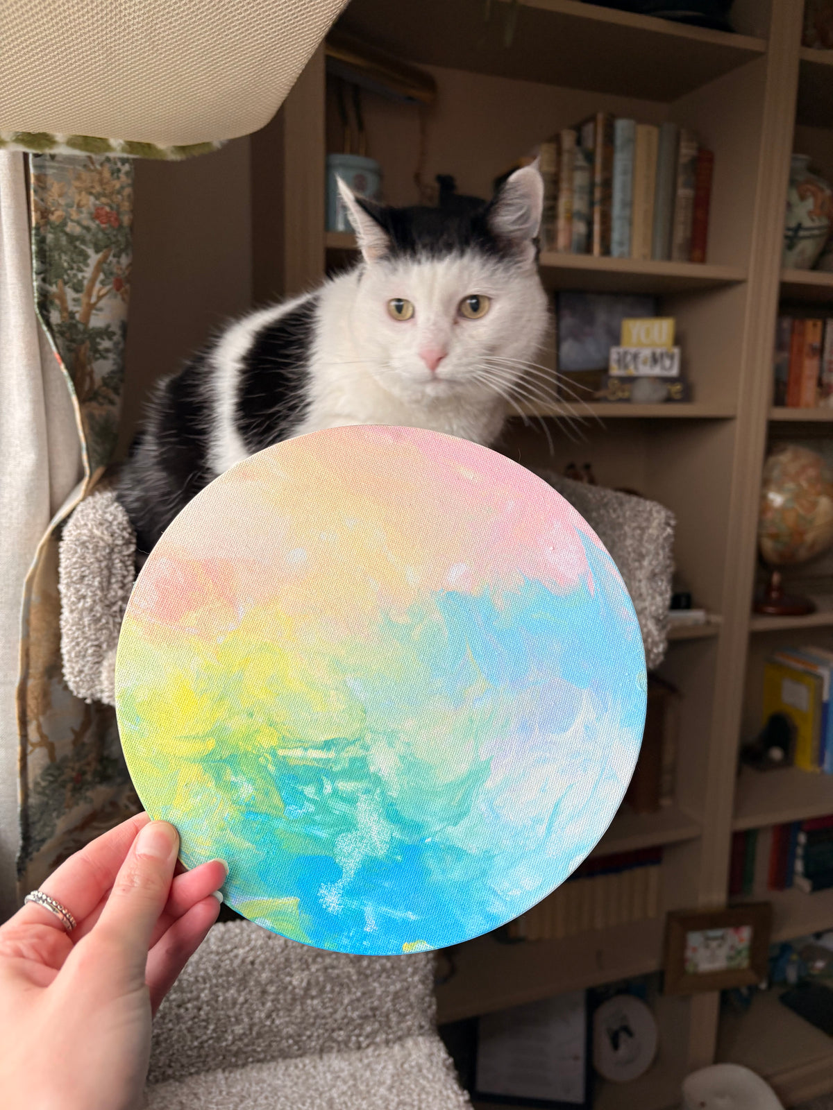 Poppy’s Paintings 🎨