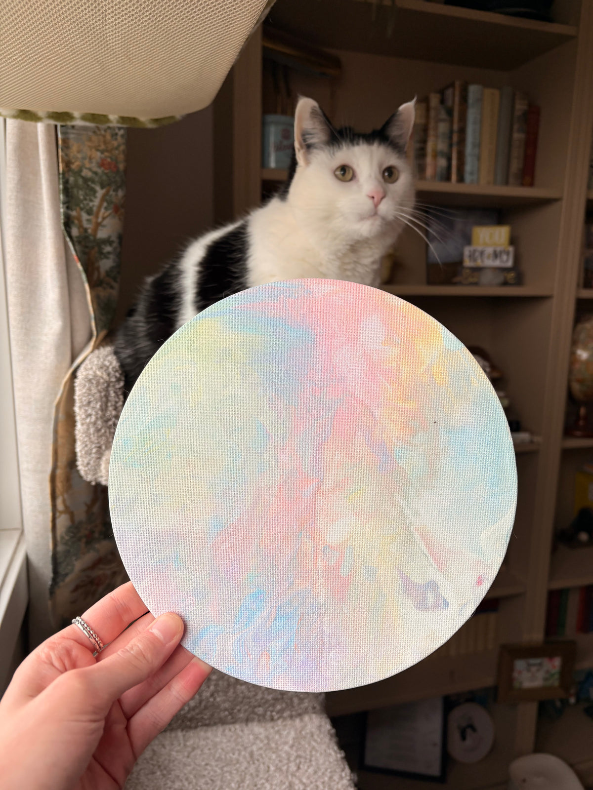 Poppy’s Paintings 🎨