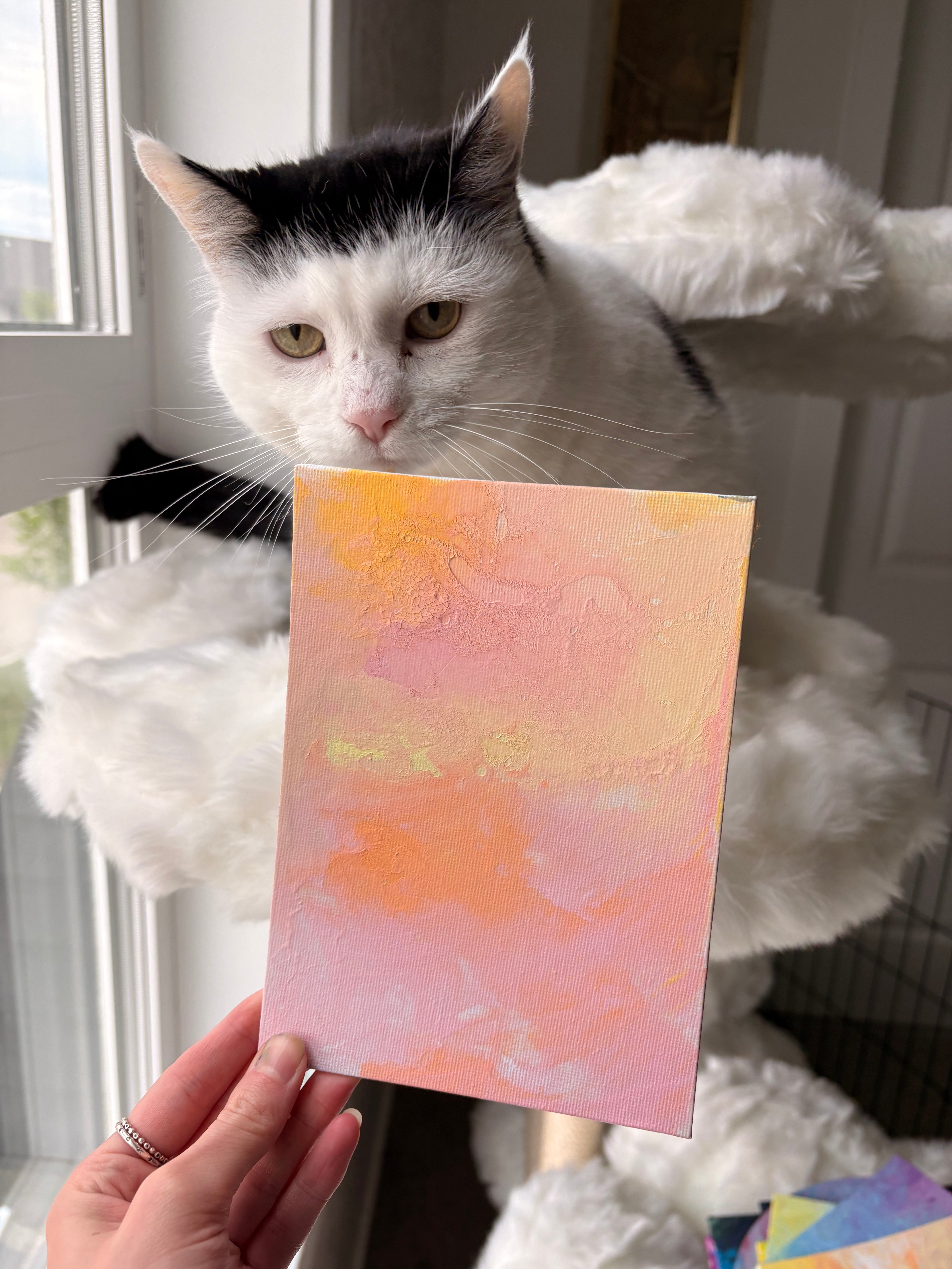 Poppy’s Paintings 🎨