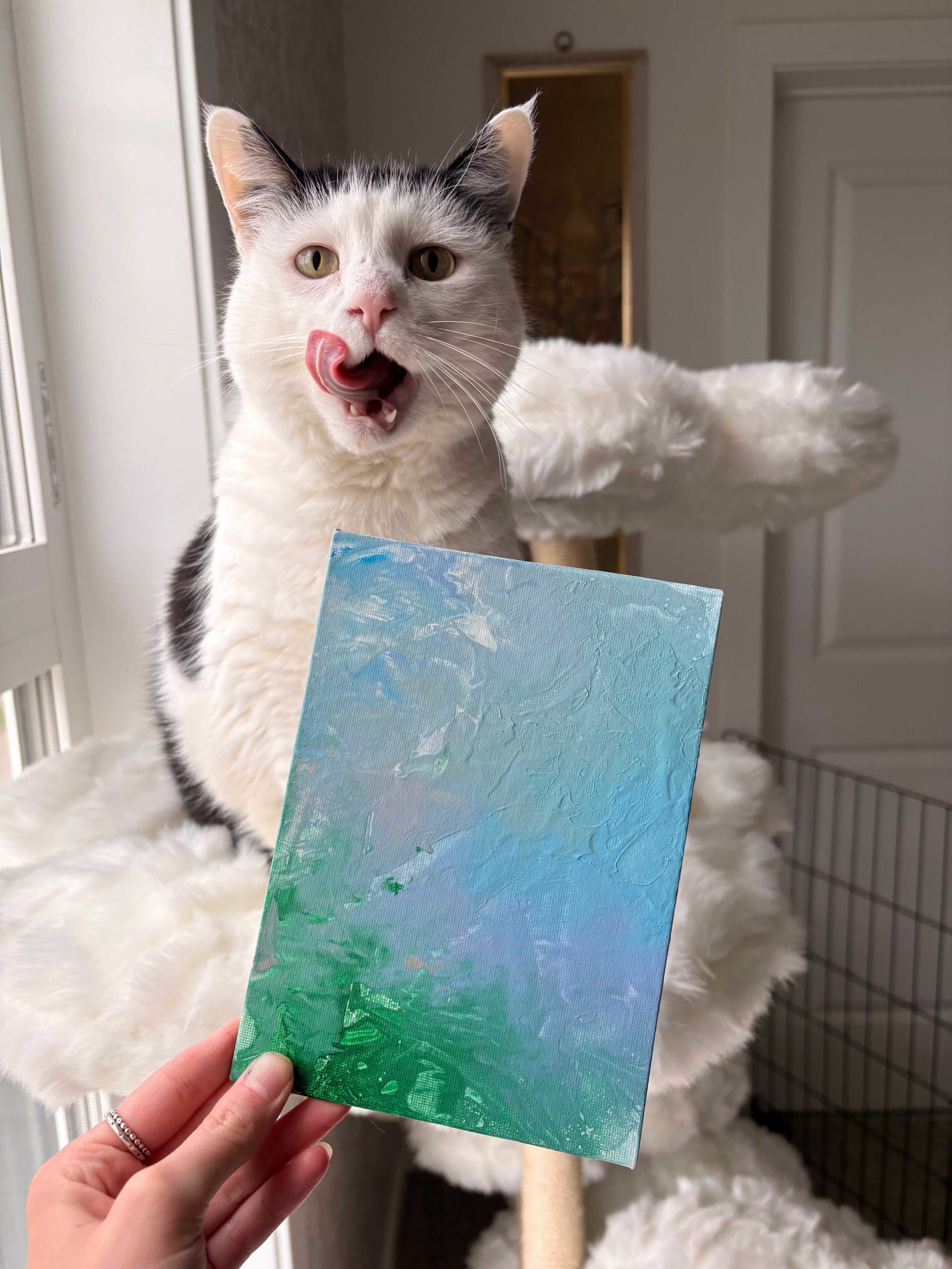Poppy’s Paintings 🎨