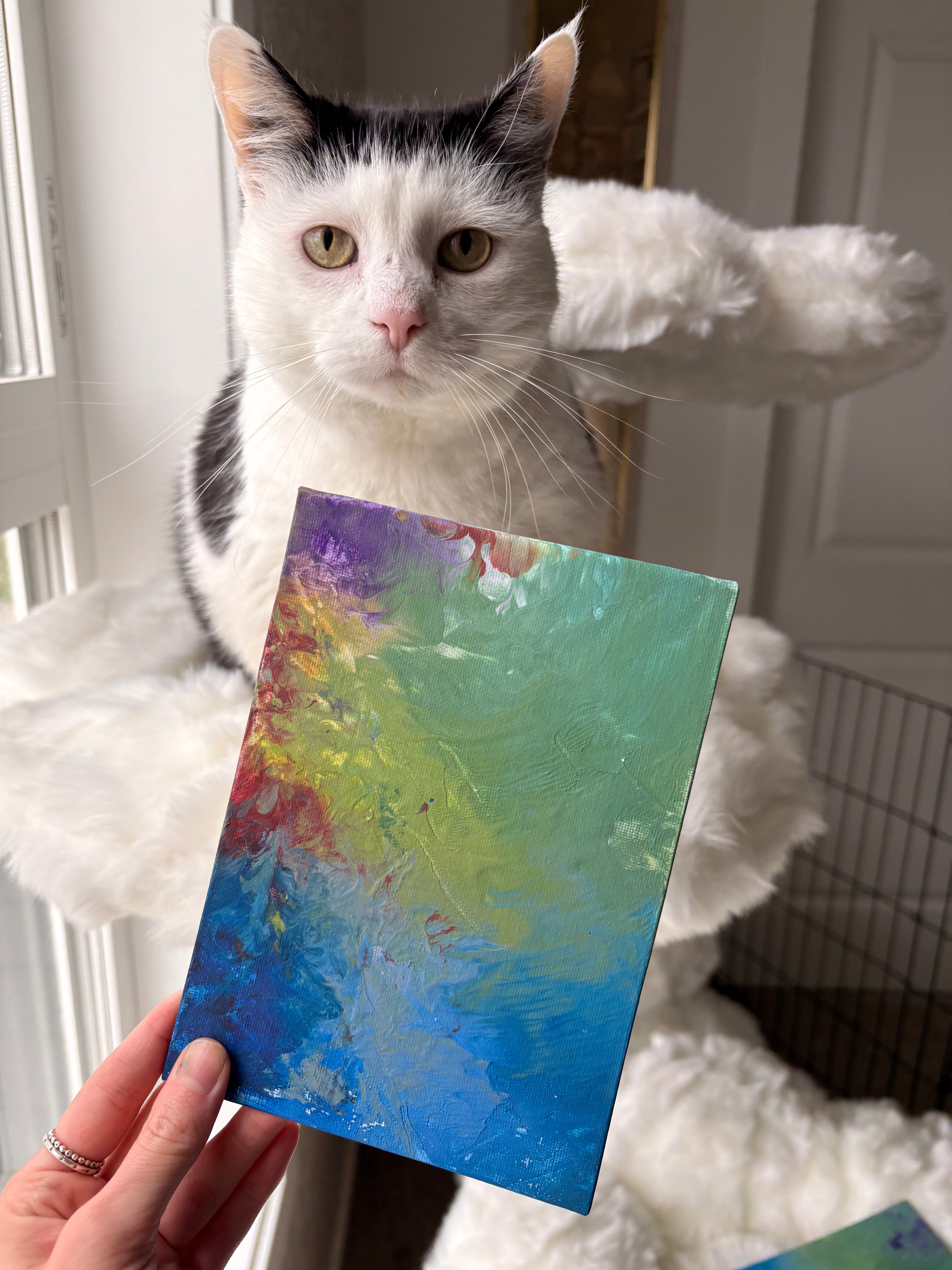Poppy’s Paintings 🎨