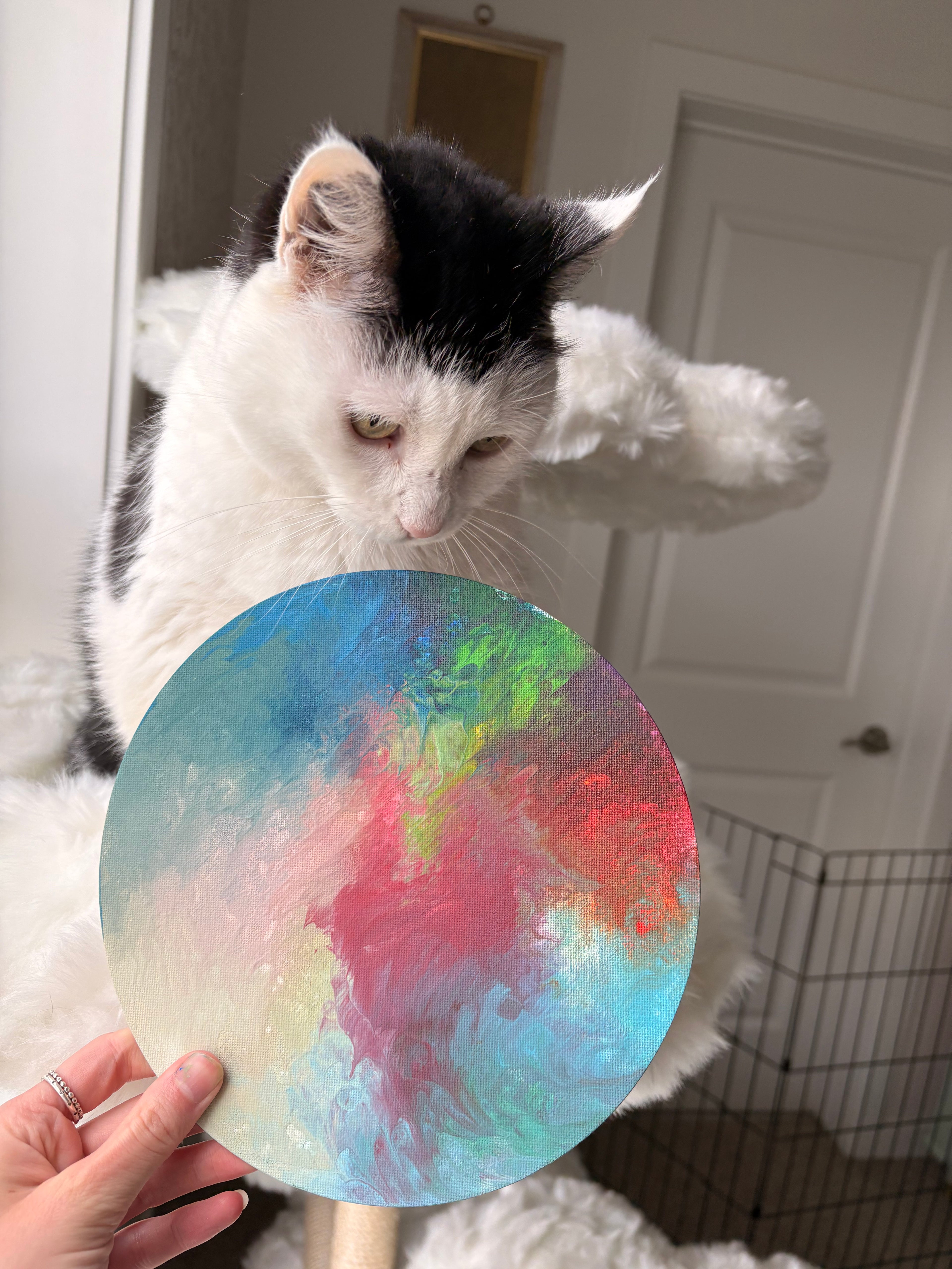 Poppy’s Paintings 🎨