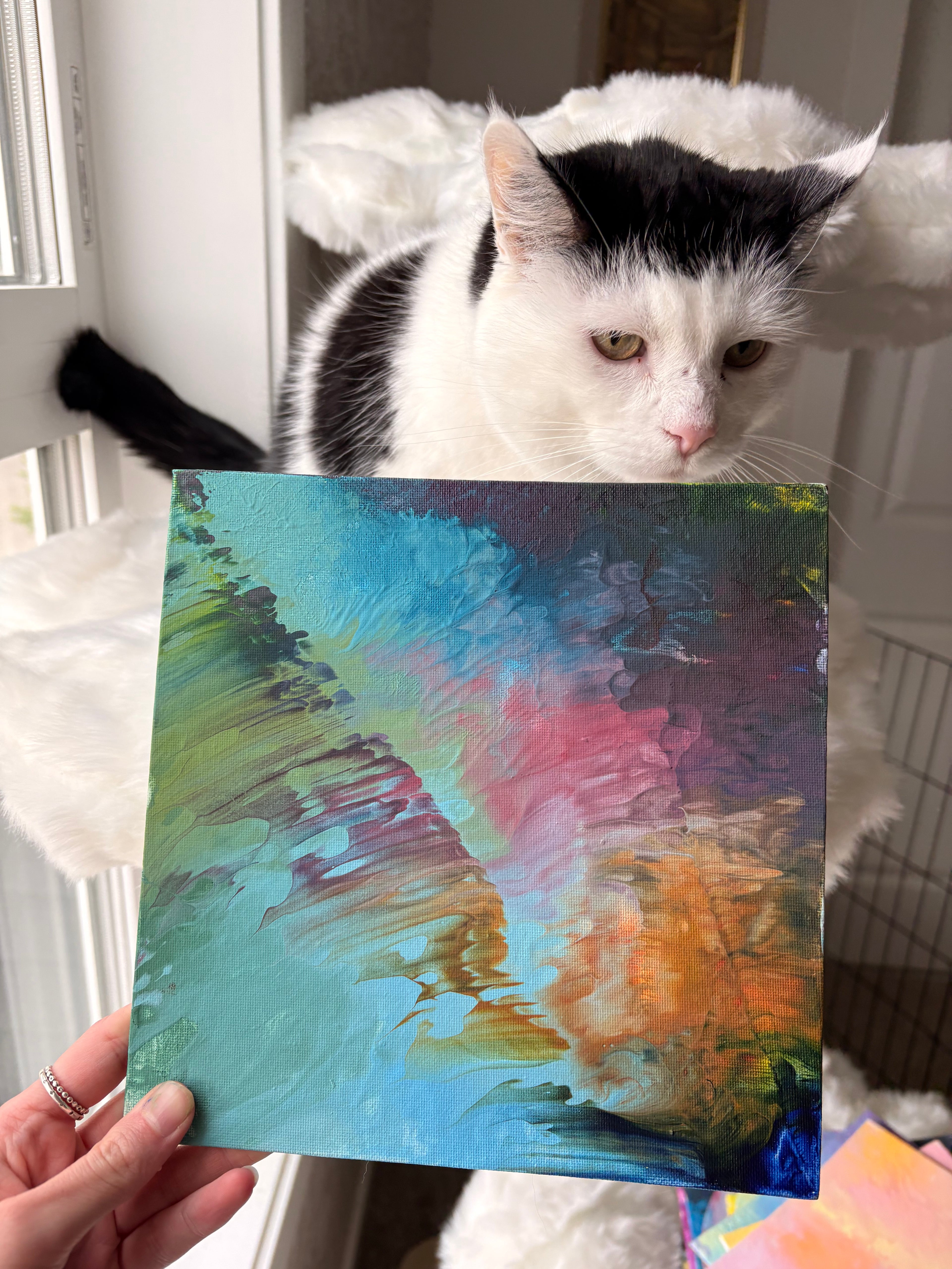 Poppy’s Paintings 🎨