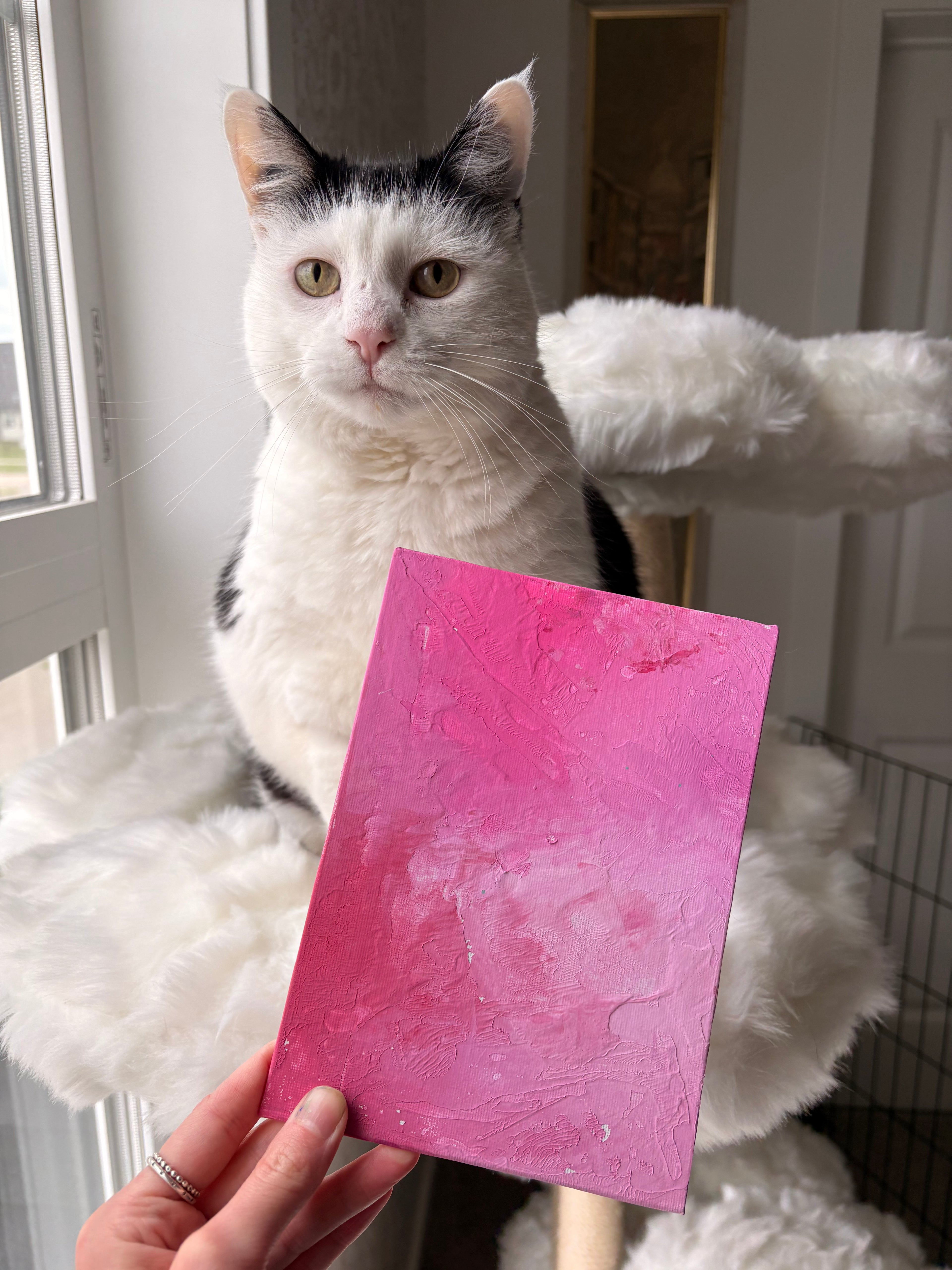 Poppy’s Paintings 🎨