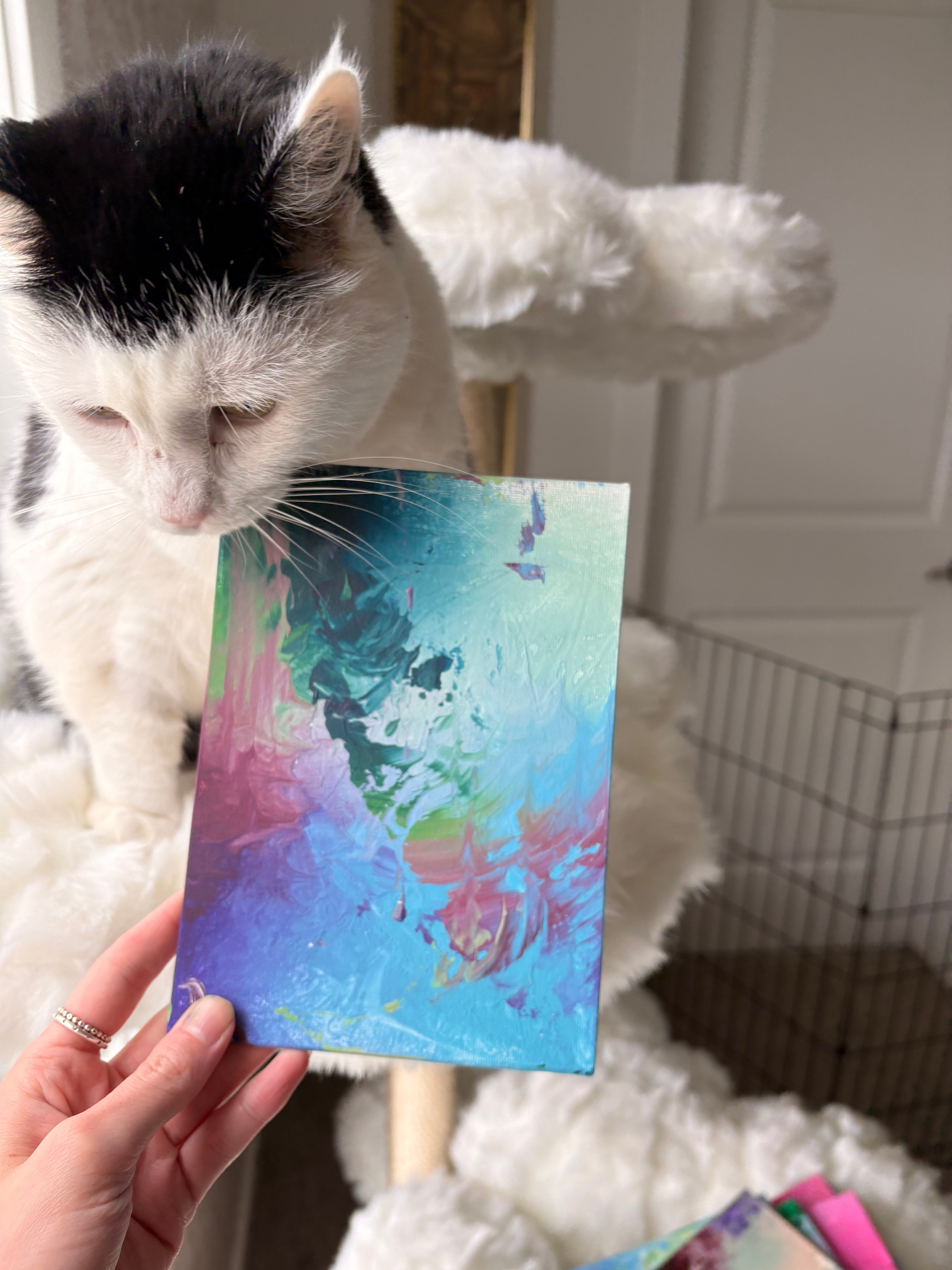 Poppy’s Paintings 🎨