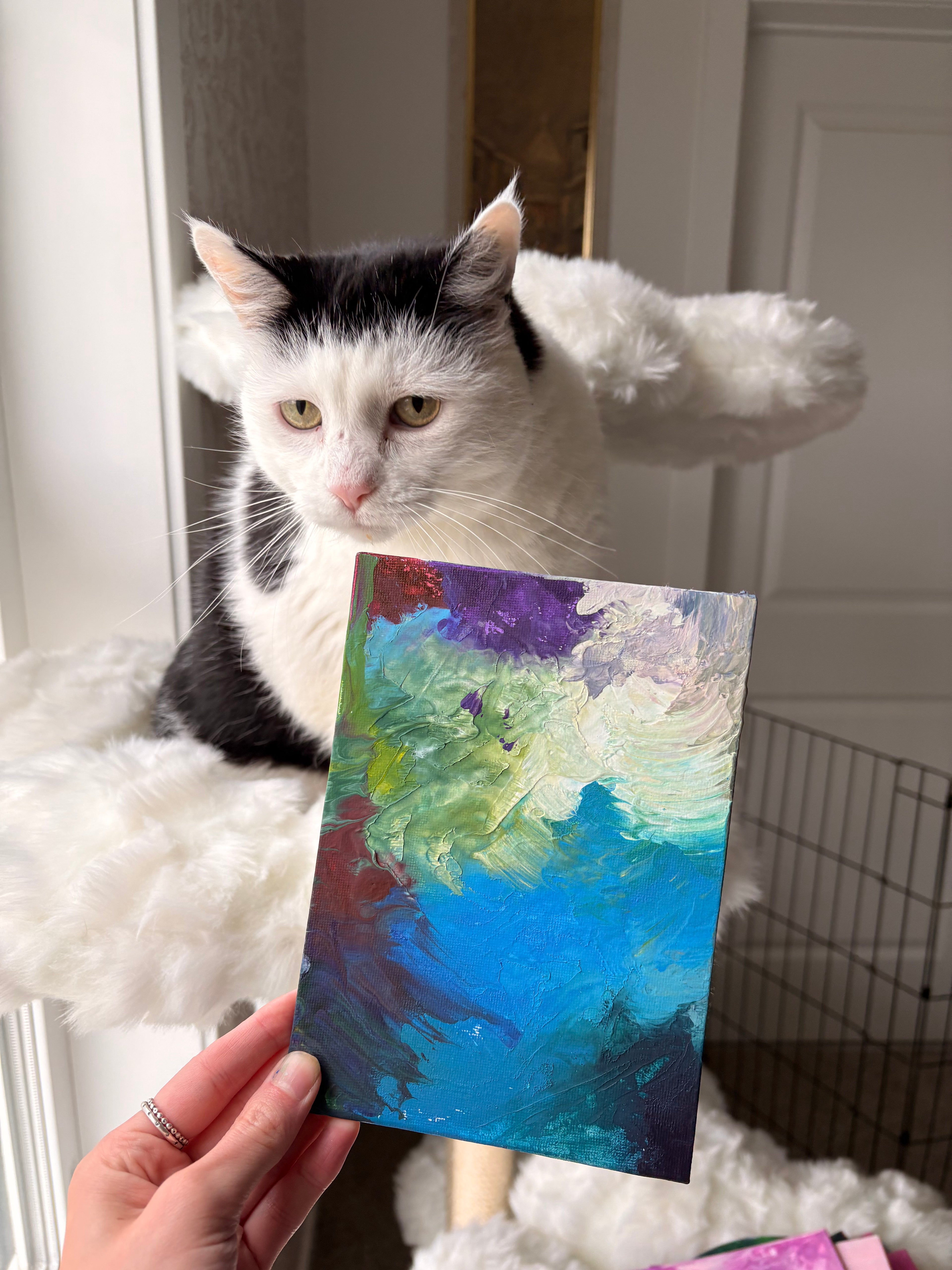Poppy’s Paintings 🎨