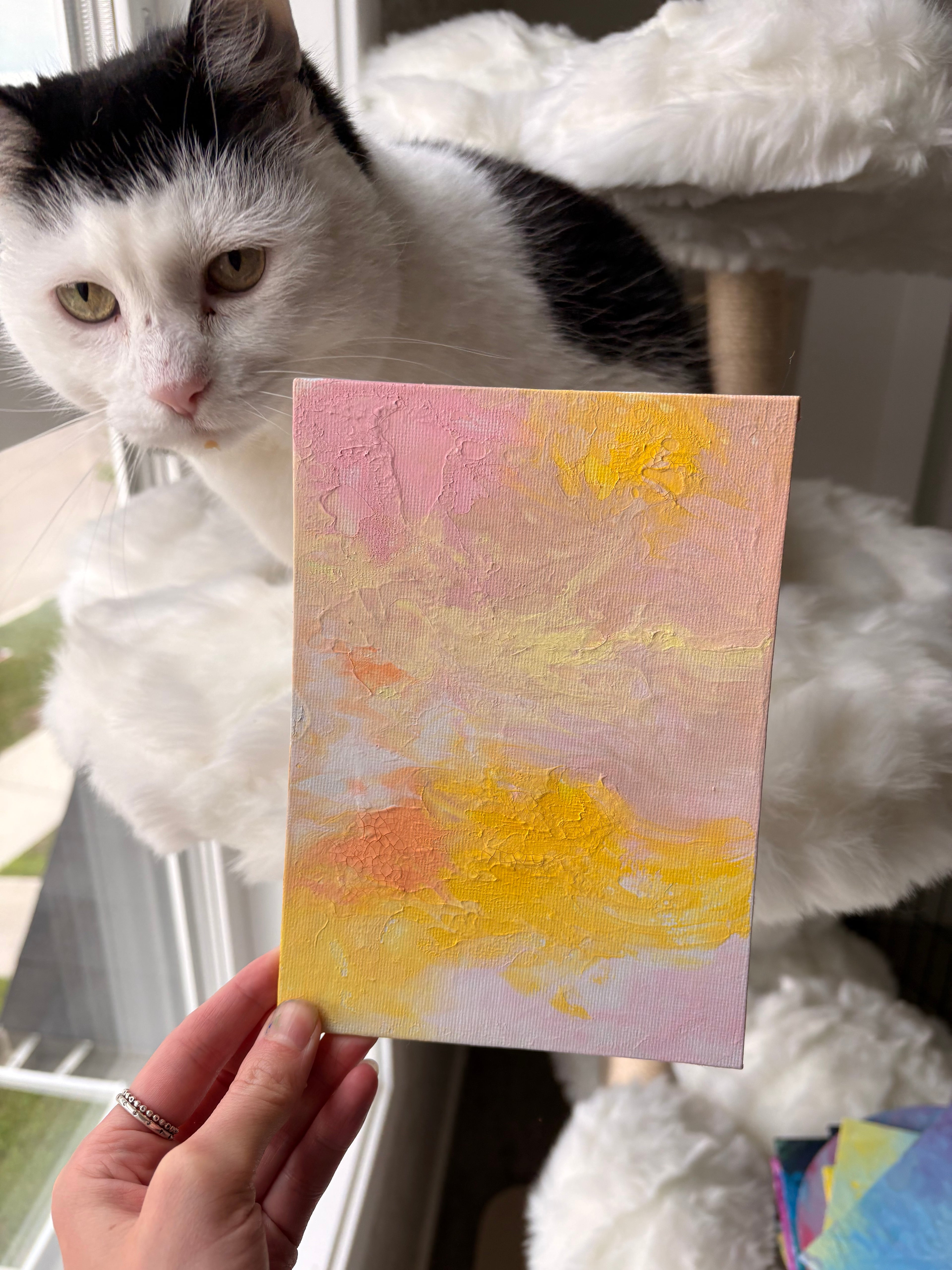 Poppy’s Paintings 🎨