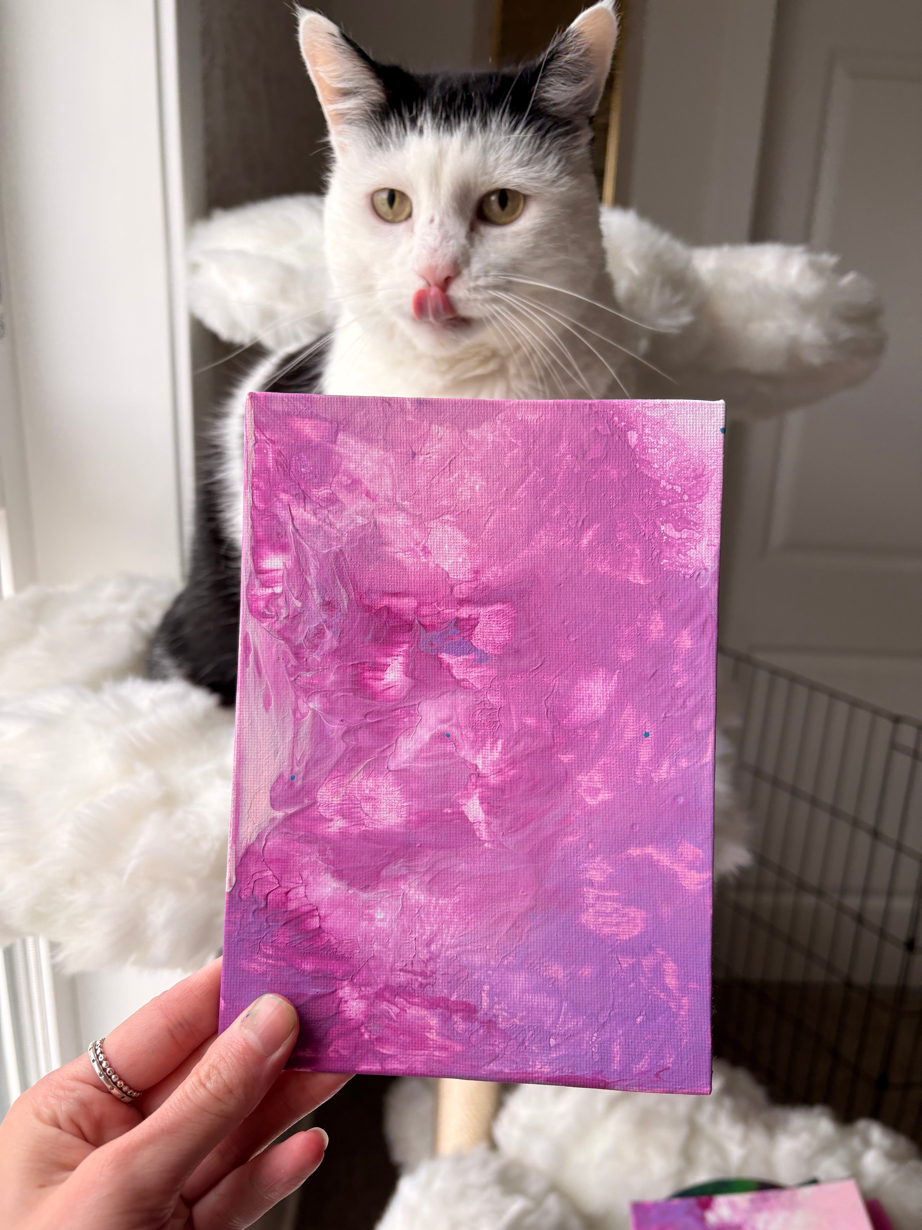 Poppy’s Paintings 🎨