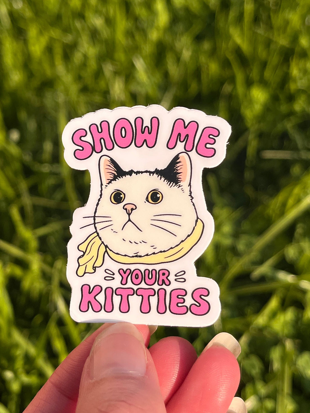 Show me your Kitties Sticker